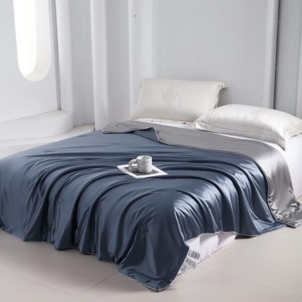 Royal Ice Silk Blanket 皇族冰丝蚕丝被 - Image 13