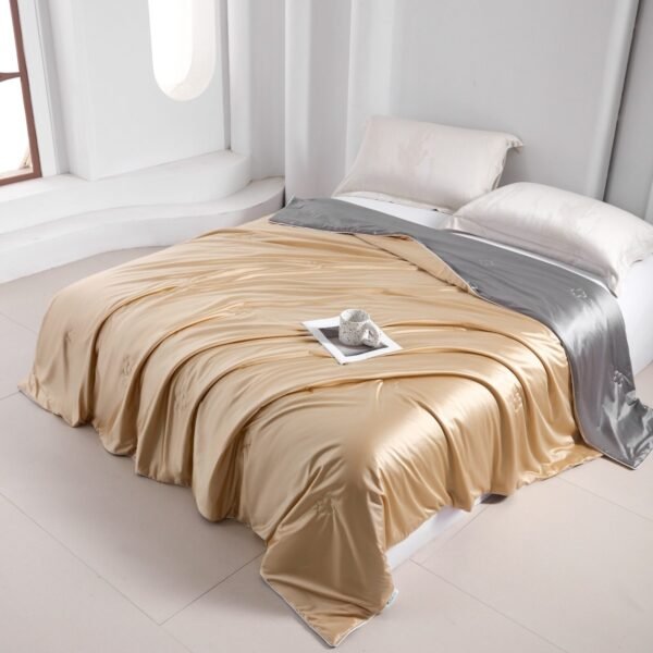 Royal Ice Silk Blanket 皇族冰丝蚕丝被 - Image 2