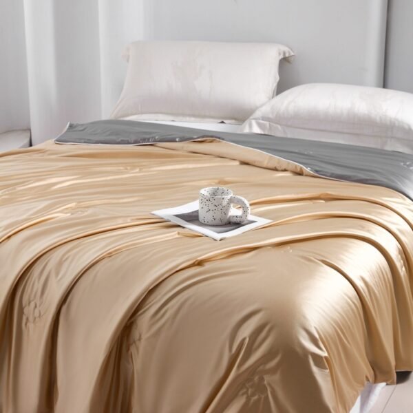 Royal Ice Silk Blanket 皇族冰丝蚕丝被 - Image 4