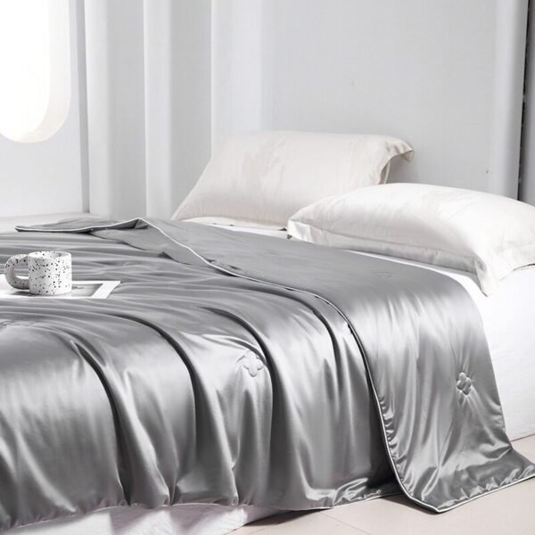 Royal Ice Silk Blanket 皇族冰丝蚕丝被 - Image 5
