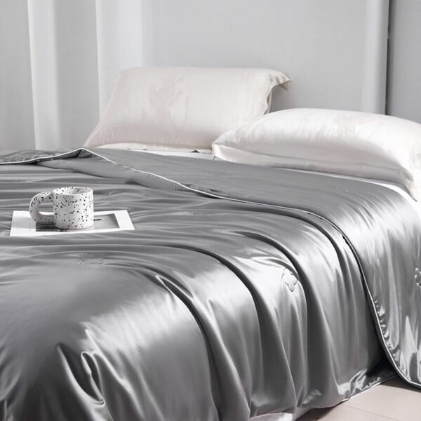 Royal Ice Silk Blanket 皇族冰丝蚕丝被 - Image 6